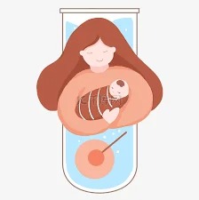 试管婴儿的变迁，难道越先进就越好么？
