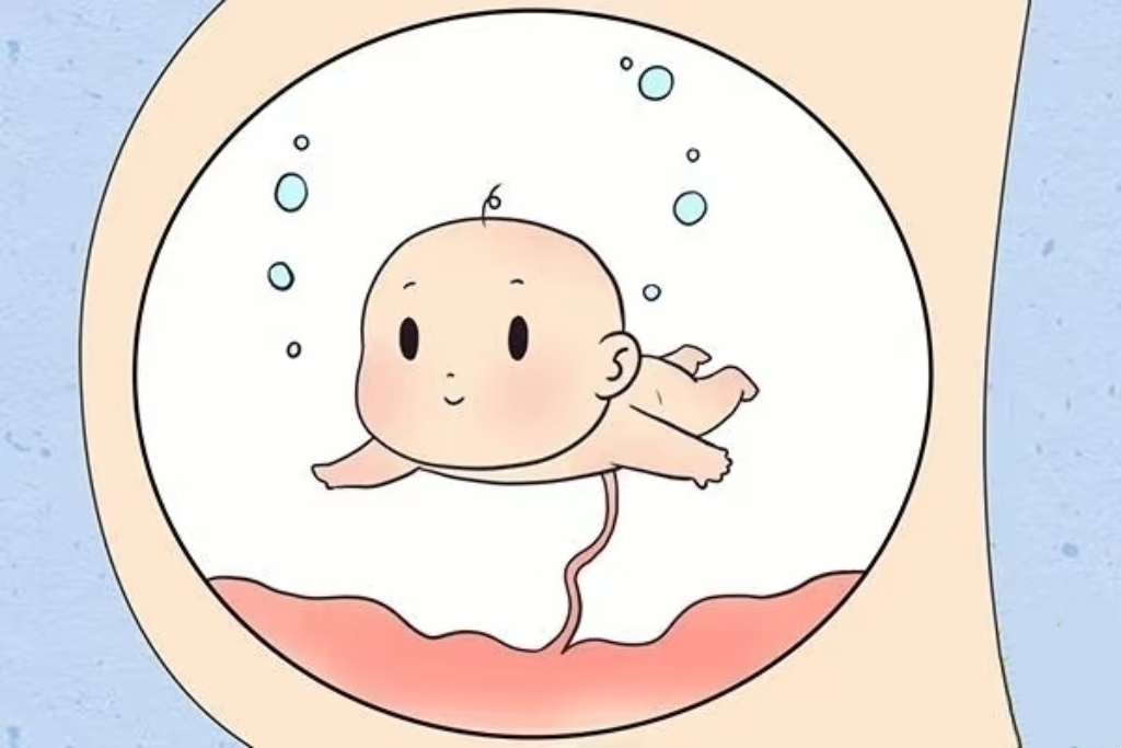 羊水：胎儿的“生命之水”，过多过少都要警惕！