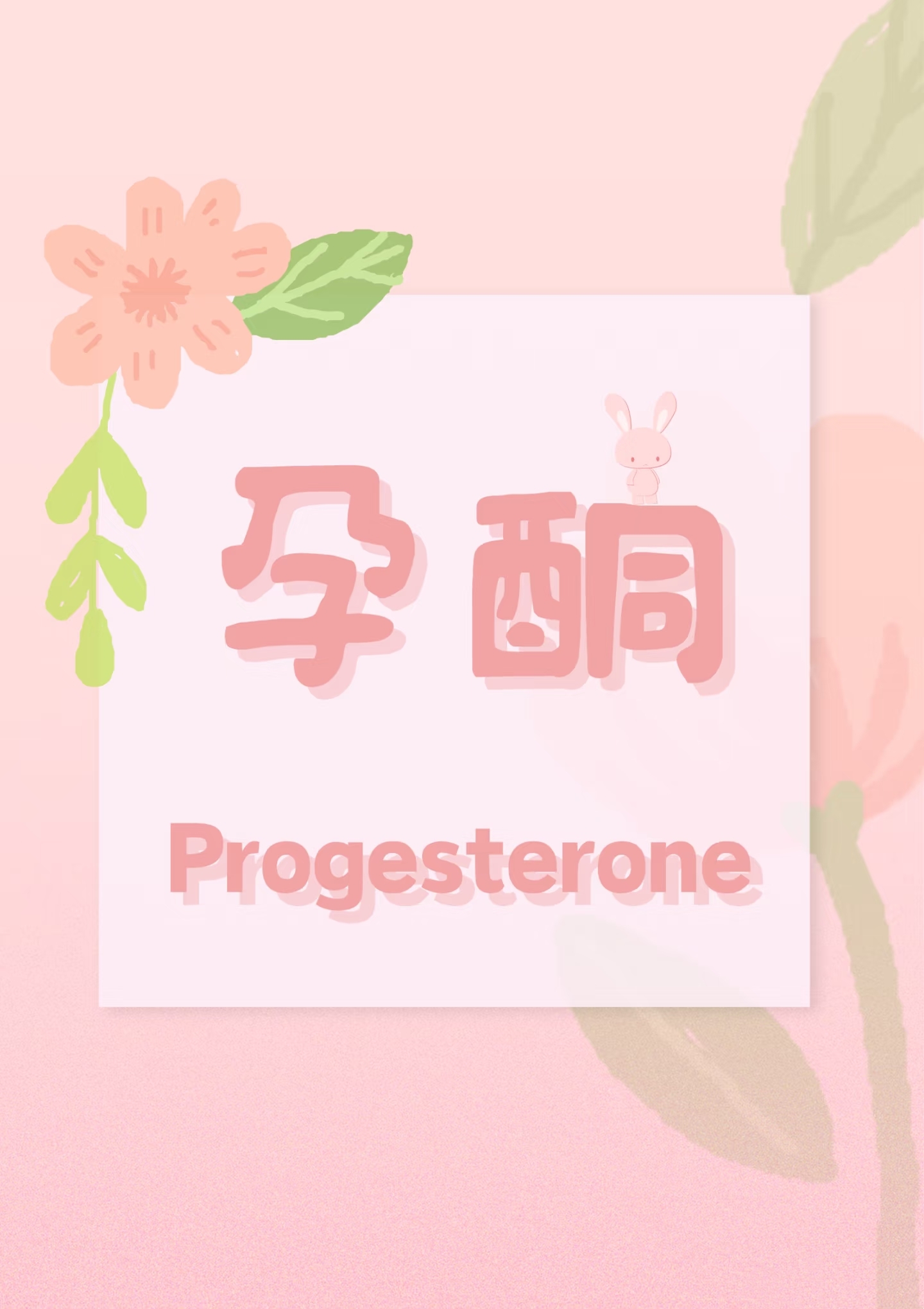 孕酮作用你知道吗？