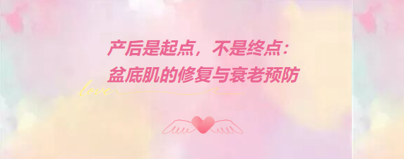 产后是起点，不是终点：盆底肌的修复与衰老预防
